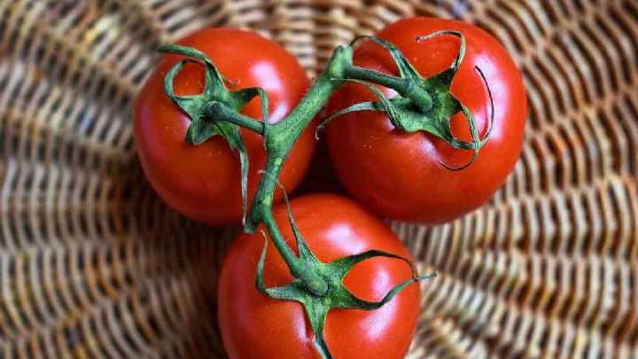 Qué plantas sembrar en septiembre para disfrutar verduras en primavera y verano