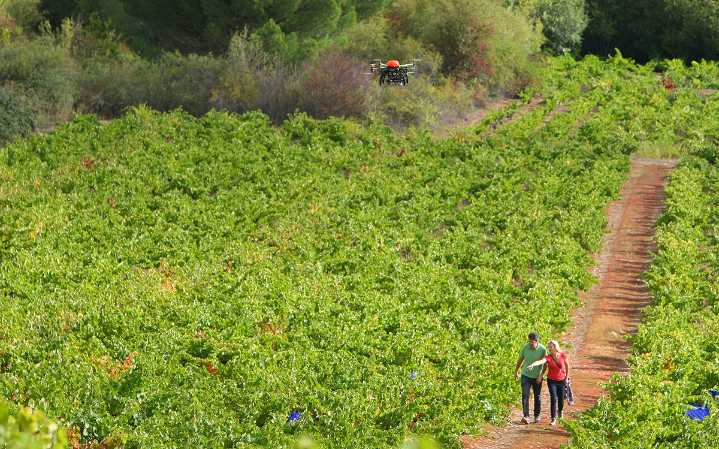 Arranca la semana con una bajada de temperaturas en Castilla y León