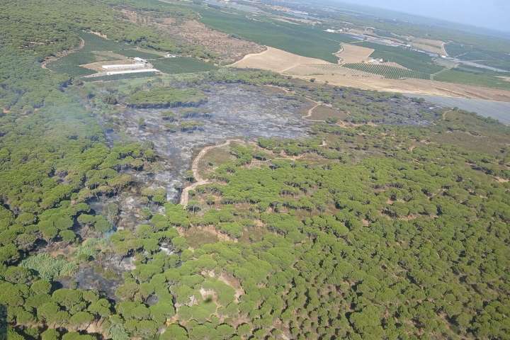 Controlado el incendio de Gibraleón declarado este lunes y estabilizado el de Almonte