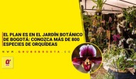 El plan es en el Jardín Botánico de Bogotá: conozca más de 800 especies de orquídeas