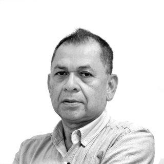 El proyecto progresista