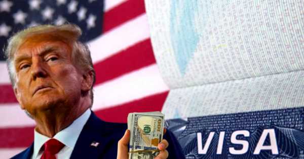Entrar a EE.UU. sin Visa: a partir de octubre, la tarifa costará el doble para todas las personas de esta lista