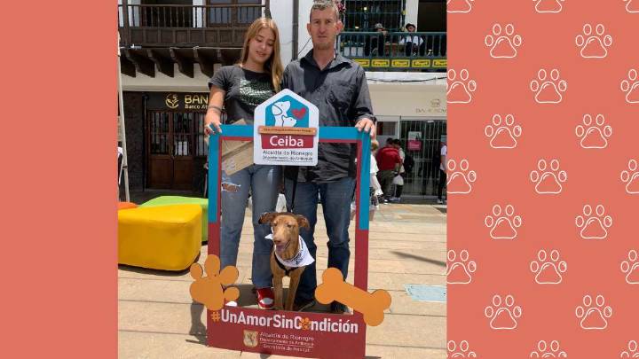 Rionegro celebra la Semana del Bienestar Animal. ¿Cómo?