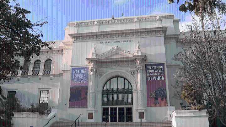 Half price admission at San Diego Natural History Museum during construction