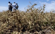 Las sequías de Dia Cero y el desabastecimiento de agua a nivel global ya sucede