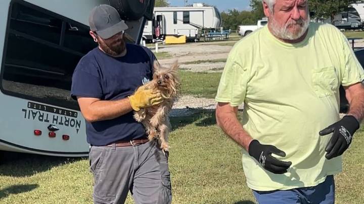 Dog rescued from overturned RV in Denton County where owner died during Sunday's storm