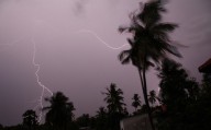 Lightning strikes took over 2,500 lives in 2023: NCRB data