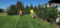 Evansville Has Highest Lawn Care Costs in Indiana
