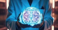 Los trastornos intestinales duplican el riesgo de enfermedades como el Párkinson y el Alzhéimer: ¿por qué?
