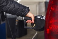 Gasoline prices stable since January