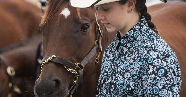 Fair horse event shows bond between animals, riders