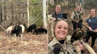 Virginia Rescuers Heartbroken After Finding Eleven Puppies Struggling To Survive Alone In The Wild