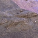 Dinosaur fossil vandalized at Gettysburg National Military Park