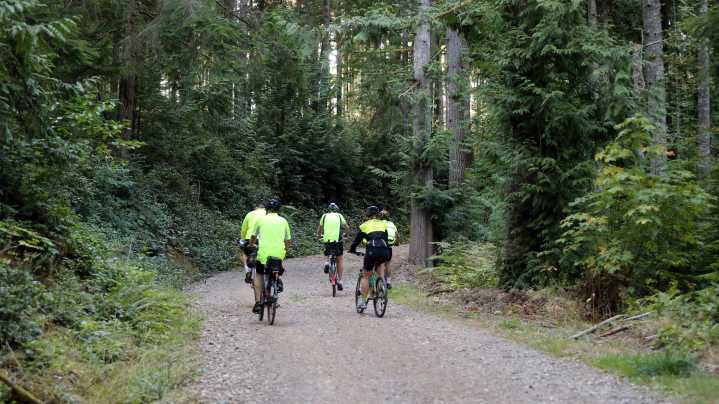 Tree farm outside Bremerton could be Kitsap's next 'community forest'