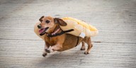 Oktoberfest Zinzinnati: What you need to know