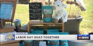 Blue Heron Farm hosts first-ever Labor Day ‘Goat
