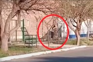 Recibió el alta médica la alumna que ingresó armada a una escuela de Mendoza