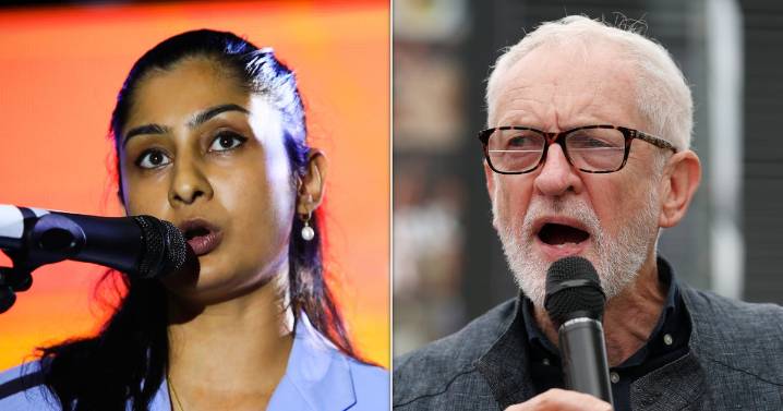 Your Party Fiasco Has Disillusioned Left Looking At The Greens