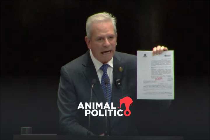 PAN amplía denuncia contra hijos de AMLO; los acusa de integrar el “Cártel de Palenque”