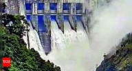 Green nod for Arunachal Pradesh's hydel project near China border