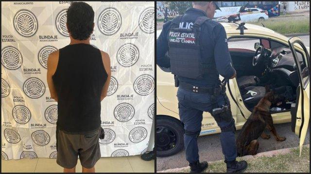 El can lo olfateó, la ley lo alcanzó: cae con 96 gramos tras persecución