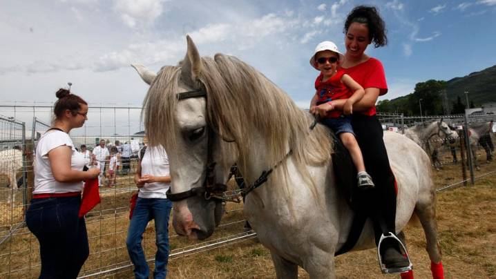 El parque de Pamplona que acoge una macro feria de ganado con pinchos, mercadillo, degustaciones y música