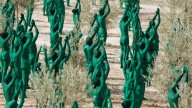 Un millar de voluntarios posan desnudos y de verde para la última obra de Spencer Tunick