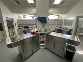 New veterinary center for senior pets opens in Ramona