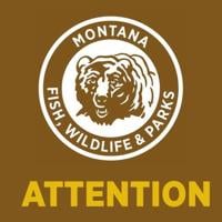 Hunters in southeast Montana warned of deer disease outbreak