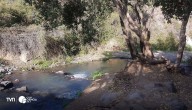 Estero del Arrayán es declarado humedal urbano: Lo Barnechea suma nuevo espacio protegido