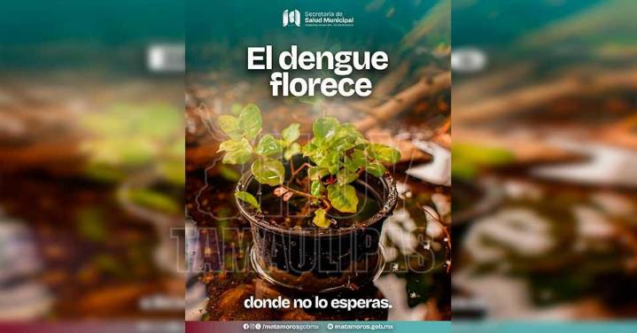 Exhorta gobierno de Beto Granados a prevenir criaderos de mosquitos para combatir el dengue