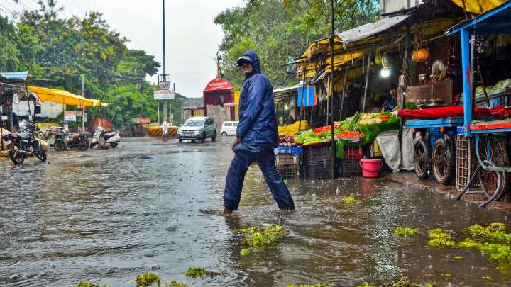 Maharashtra rains: Sharad Pawar urges loan waiver for flood-hit farmers amid 'wet drought' calls from Opposition