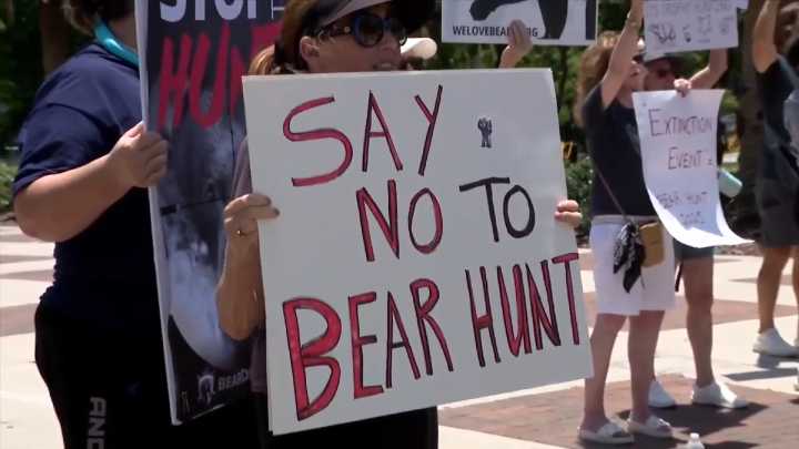 More than 160,000 apply for Florida’s first bear hunt in a decade, wildlife officials say
