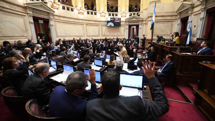 El Senado se prepara para rechazarle otro veto a Milei