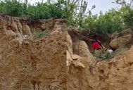 Perro atrapado en barranco de Cabo San Lucas es rescatado por bomberos