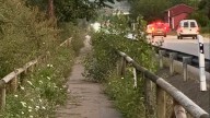 La "Senda de Cascos", entre Cangas de Onís y Arriondas, una selva en estado puro