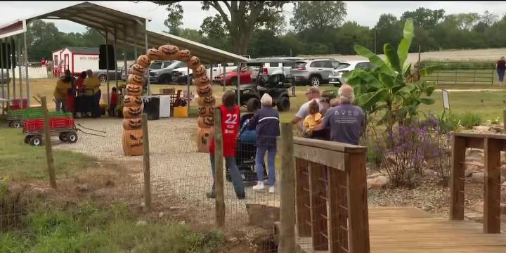 Enjoying the fall season at the Cottle Farms Funpark Fall Festival