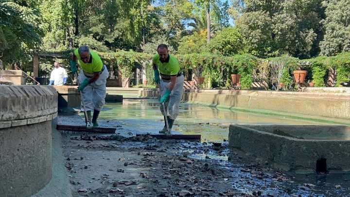 El Ayuntamiento defiende su labor de limpieza y mantenimiento en el Parque de María Luisa