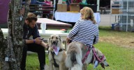 Fulton County SPCA hosts 13th Woofstock at Sherman's Park