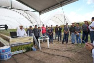 CHAPINGO MUESTRA AVANCES EN GENÉTICA, AGROINSUMOS Y TECNOLOGÍA APLICADA AL CAMPO Y LA GANADERÍA, EN SU LABORATORIO EXPERIMENTAL