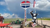 Drinking Wyoming: The Spotted Horse’s Famous Spotted Horse Rescued From A Brothel