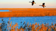 This Secret National Park Site Is Officially One Of America's Most Beautiful Places