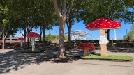 Mushroom-themed art installed in downtown Louisville