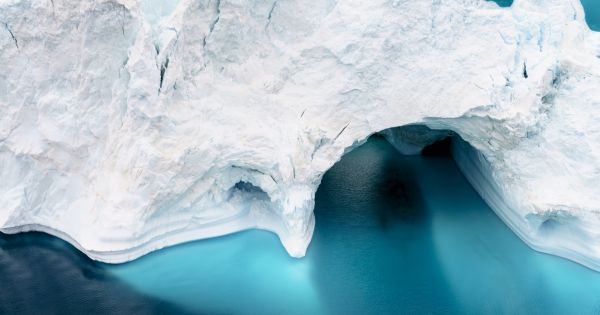 Como en la Era del Hielo: científicos encontraron un mundo oculto debajo de la Antártida