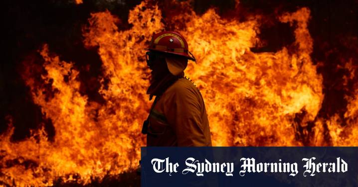 Bushfire risk prevention: Expert fears weakening of regulation after NSW planning reforms