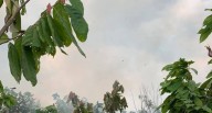 Huánuco: registran incendio de gran magnitud que afecta 7 hectáreas de bosque