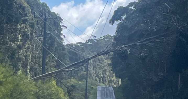 Thousands in Lorne lose power in sudden outage