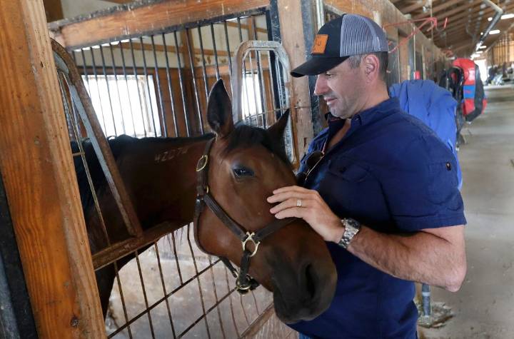 Will County OKs addiction recovery center at horse farm