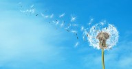 Dr. Barton Goldsmith: When things change