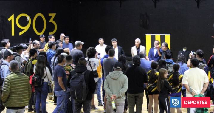 Crisis en Fernández Vial: Corporación presenta querella por administración desleal contra SADP
